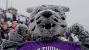 The University of St. Thomas social fundraising campaign page featuring a tomcat mascot.