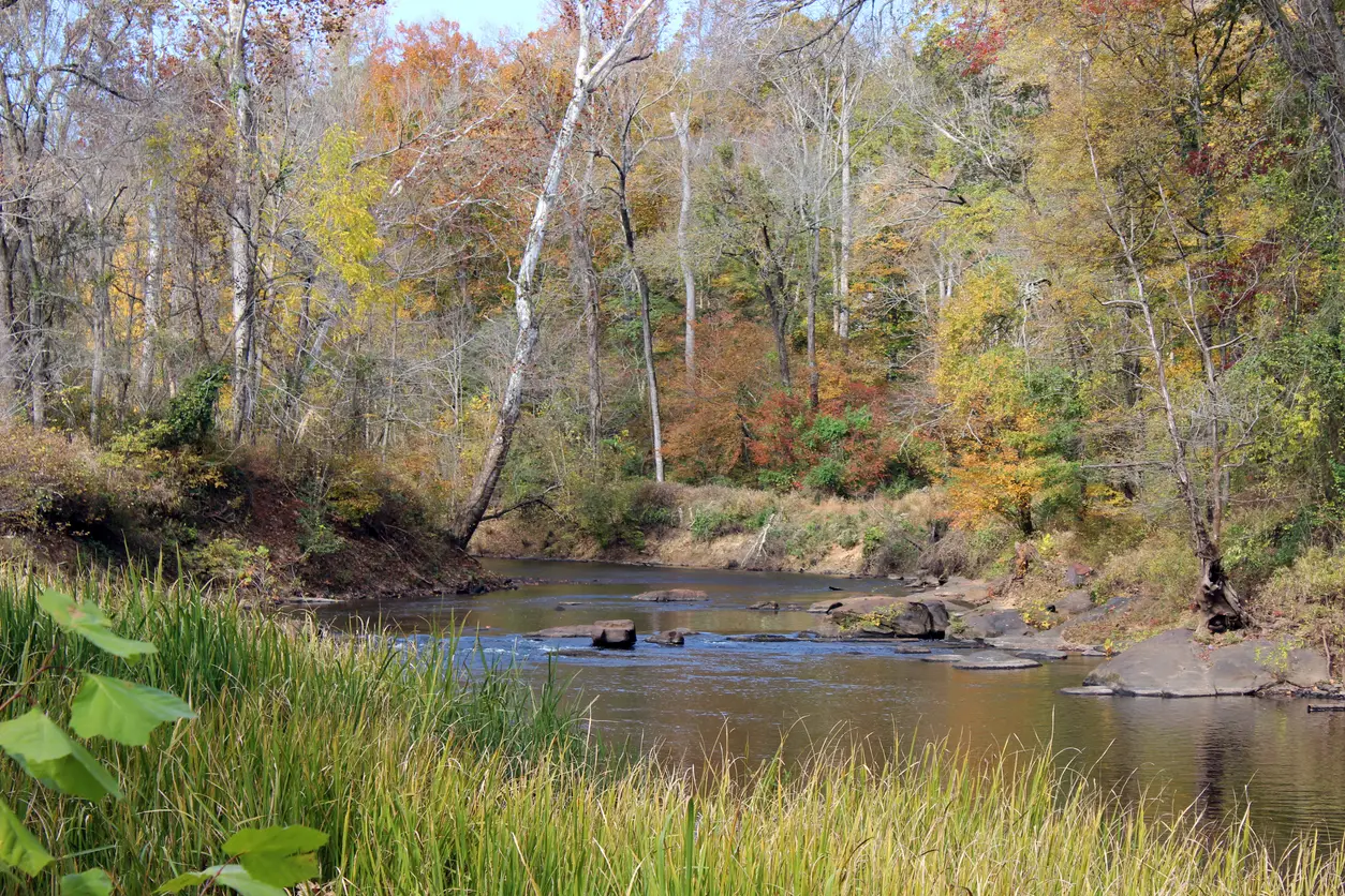 An Autumn photograph of the Neuse River. The Raleigh, North Carolina, portion of the Neuse tends to be shallow and calm which is ideal for a relaxing kayak trip.
