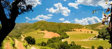 Sonoma County countryside