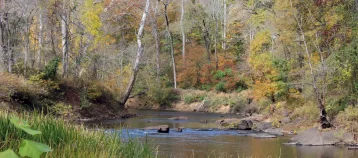 An Autumn photograph of the Neuse River. The Raleigh, North Carolina, portion of the Neuse tends to be shallow and calm which is ideal for a relaxing kayak trip.